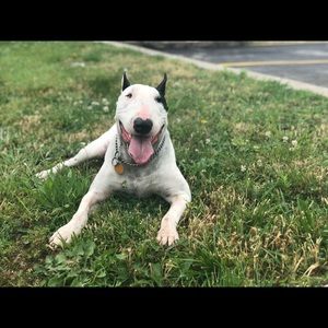 Meet your Posher, Deah